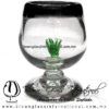 Copa Coñac Maguey Verde y Borde de color Negro, Artesanías de Vidrio Soplado - Blown Glass Cognac Cup Handmade