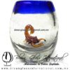 Tequilero barril con Escorpión y Borde de color, Fábrica de Vidrio Soplado Artesanal, made in México - Blown Glass Factory Store Tonala, Handcraft, Handmade.