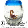 Tequilero barril con Escorpión y Borde de color, Fábrica de Vidrio Soplado Artesanal, made in México - Blown Glass Factory Store Tonala, Handcraft, Handmade.