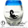 Tequilero barril con Escorpión y Borde de color, Fábrica de Vidrio Soplado Artesanal, made in México - Blown Glass Factory Store Tonala, Handcraft, Handmade.