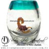 Tequilero barril con Escorpión y Borde de color, Fábrica de Vidrio Soplado Artesanal, made in México - Blown Glass Factory Store Tonala, Handcraft, Handmade.