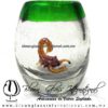 Tequilero barril con Escorpión y Borde de color, Fábrica de Vidrio Soplado Artesanal, made in México - Blown Glass Factory Store Tonala, Handcraft, Handmade.