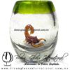 Tequilero barril con Escorpión y Borde de color, Fábrica de Vidrio Soplado Artesanal, made in México - Blown Glass Factory Store Tonala, Handcraft, Handmade.