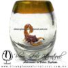 Tequilero barril con Escorpión y Borde de color, Fábrica de Vidrio Soplado Artesanal, made in México - Blown Glass Factory Store Tonala, Handcraft, Handmade.