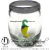Tequilero Barril con Chile y Borde de Color - Thumbnail Image 36