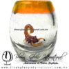 Tequilero barril con Escorpión y Borde de color, Fábrica de Vidrio Soplado Artesanal, made in México - Blown Glass Factory Store Tonala, Handcraft, Handmade.