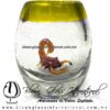 Tequilero barril con Escorpión y Borde de color, Fábrica de Vidrio Soplado Artesanal, made in México - Blown Glass Factory Store Tonala, Handcraft, Handmade.