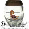 Tequilero barril con Escorpión y Borde de color, Fábrica de Vidrio Soplado Artesanal, made in México - Blown Glass Factory Store Tonala, Handcraft, Handmade.