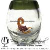 Tequilero barril con Escorpión y Borde de color, Fábrica de Vidrio Soplado Artesanal, made in México - Blown Glass Factory Store Tonala, Handcraft, Handmade.