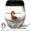Tequilero barril con Escorpión y Borde de color, Fábrica de Vidrio Soplado Artesanal, made in México - Blown Glass Factory Store Tonala, Handcraft, Handmade.