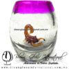 Tequilero barril con Escorpión y Borde de color, Fábrica de Vidrio Soplado Artesanal, made in México - Blown Glass Factory Store Tonala, Handcraft, Handmade.