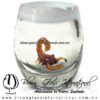 Tequilero barril con Escorpión y Borde de color, Fábrica de Vidrio Soplado Artesanal, made in México - Blown Glass Factory Store Tonala, Handcraft, Handmade.