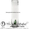 Tequilero Cilíndrico Cristal con Gusano de Maguey. Fábrica de Vidrio Soplado Artesanal, made in México - Blown Glass Factory Store Tonala, Handcraft, Handmade. Tequilero Cilíndrico Cristal con Gusano de Maguey. Fábrica de Vidrio Soplado Artesanal, made in México - Blown Glass Factory Store Tonala, Handcraft, Handmade.