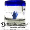 Tequilero Cilíndrico con Agave y Borde de Color Azul Cobalto, Fábrica de Vidrio Soplado Artesanal, made in México - Blown Glass Factory Store Tonala, Handcraft, Handmade.