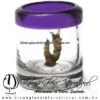 Tequilero Cilíndrico con Gusanito y Borde de Color Morado, Fábrica de Vidrio Soplado Artesanal, made in México - Blown Glass Factory Store Tonala, Handcraft, Handmade.