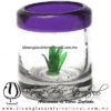 Tequilero Cilíndrico con Agave y Borde de Color Morado, Fábrica de Vidrio Soplado Artesanal, made in México - Blown Glass Factory Store Tonala, Handcraft, Handmade.