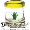 Tequilero Cilíndrico con Agave y Borde de Color Amarillo, Fábrica de Vidrio Soplado Artesanal, made in México - Blown Glass Factory Store Tonala, Handcraft, Handmade.