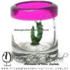 Tequilero Cilíndrico con Gusanito y Borde de Color Pintado Rosa Fucsia Fiusha, Fábrica de Vidrio Soplado Artesanal, made in México - Blown Glass Factory Store Tonala, Handcraft, Handmade.
