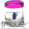 Tequilero Cilíndrico con Agave y Borde de Color Fucsia, Fábrica de Vidrio Soplado Artesanal, made in México - Blown Glass Factory Store Tonala, Handcraft, Handmade.