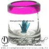 Tequilero Cilíndrico con Agave y Borde de Color Fucsia, Fábrica de Vidrio Soplado Artesanal, made in México - Blown Glass Factory Store Tonala, Handcraft, Handmade.
