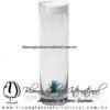 Tequilero Cilíndrico con Agave y Borde de Color Blanco, Fábrica de Vidrio Soplado Artesanal, made in México - Blown Glass Factory Store Tonala, Handcraft, Handmade.