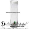Tequilero Cilíndrico con Agave-Rancherito y Borde de Color Blanco Opalino. Fábrica de Vidrio Soplado Artesanal, made in México - Blown Glass Factory Store Tonala, Handcraft, Handmade.