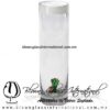 Tequilero Cilíndrico con Nopal-Rancherito y Borde de Color Blanco Opalino. Fábrica de Vidrio Soplado Artesanal, made in México - Blown Glass Factory Store Tonala, Handcraft, Handmade.
