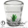 Tequilero Cónico Cristal con Agave. Fábrica de Vidrio Soplado Artesanal, made in México - Blown Glass Factory Store Tonala, Handcraft, Handmade.