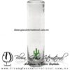 Tequilero Cilíndrico Cristal con Cactus. Fábrica de Vidrio Soplado Artesanal, made in México - Blown Glass Factory Store Tonala, Handcraft, Handmade.
