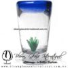 Tequilero Cónico con Agave y borde Azul cobalto. Fábrica de Vidrio Soplado Artesanal, made in México - Blown Glass Factory Store Tonala, Handcraft, Handmade.