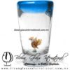 Tequilero Cónico con Águila y Borde de Color Azul Aguamarina Aqua. Fábrica de Vidrio Soplado Artesanal, made in México - Blown Glass Factory Store Tonala, Handcraft, Handmade. Tequilero Cónico con Águila y Borde de Color Azul Aguamarina Aqua. Fábrica de Vidrio Soplado Artesanal, made in México - Blown Glass Factory Store Tonala, Handcraft, Handmade.