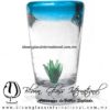 Tequilero Cónico con Agave y borde Azul Aguamarina. Fábrica de Vidrio Soplado Artesanal, made in México - Blown Glass Factory Store Tonala, Handcraft, Handmade.