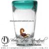Tequilero Cónico con Escorpión y borde de Color Azul Teal (turquesa). Fábrica de Vidrio Soplado Artesanal, made in México - Blown Glass Factory Store Tonala, Handcraft, Handmade.