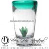 Tequilero Cónico con Agave y borde Azul Teal (Turquesa). Fábrica de Vidrio Soplado Artesanal, made in México - Blown Glass Factory Store Tonala, Handcraft, Handmade.