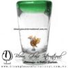 Tequilero Cónico con Águila y Borde de Color Verde Jade. Fábrica de Vidrio Soplado Artesanal, made in México - Blown Glass Factory Store Tonala, Handcraft, Handmade. Tequilero Cónico con Águila y Borde de Color Verde Jade. Fábrica de Vidrio Soplado Artesanal, made in México - Blown Glass Factory Store Tonala, Handcraft, Handmade.