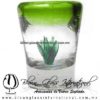 Tequilero Cónico con Agave y borde Verde Lima. Fábrica de Vidrio Soplado Artesanal, made in México - Blown Glass Factory Store Tonala, Handcraft, Handmade.