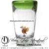 Tequilero Cónico con Águila y Borde de Color Verde Lima. Fábrica de Vidrio Soplado Artesanal, made in México - Blown Glass Factory Store Tonala, Handcraft, Handmade. Tequilero Cónico con Águila y Borde de Color Verde Lima. Fábrica de Vidrio Soplado Artesanal, made in México - Blown Glass Factory Store Tonala, Handcraft, Handmade.