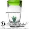 Tequilero Cónico con Agave y borde Verde Lima. Fábrica de Vidrio Soplado Artesanal, made in México - Blown Glass Factory Store Tonala, Handcraft, Handmade.