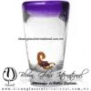 Tequilero Cónico con Escorpión y borde de Color Morado. Fábrica de Vidrio Soplado Artesanal, made in México - Blown Glass Factory Store Tonala, Handcraft, Handmade.