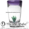 Tequilero Cónico con Agave y borde Morado. Fábrica de Vidrio Soplado Artesanal, made in México - Blown Glass Factory Store Tonala, Handcraft, Handmade.