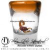 Tequilero Cónico con Escorpión y borde de Color Naranja. Fábrica de Vidrio Soplado Artesanal, made in México - Blown Glass Factory Store Tonala, Handcraft, Handmade.