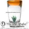 Tequilero Cónico con Agave y borde Naranja. Fábrica de Vidrio Soplado Artesanal, made in México - Blown Glass Factory Store Tonala, Handcraft, Handmade.