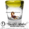 Tequilero Cónico con Escorpión y borde de Color Amarillo. Fábrica de Vidrio Soplado Artesanal, made in México - Blown Glass Factory Store Tonala, Handcraft, Handmade.