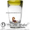 Tequilero Cónico con Escorpión y borde de Color Amarillo. Fábrica de Vidrio Soplado Artesanal, made in México - Blown Glass Factory Store Tonala, Handcraft, Handmade.