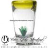 Tequilero Cónico con Agave y borde Amarillo. Fábrica de Vidrio Soplado Artesanal, made in México - Blown Glass Factory Store Tonala, Handcraft, Handmade.