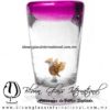 Tequilero Cónico con Águila y Borde de Color Pintado Rosa Mexicano Fiusha Fucsia. Fábrica de Vidrio Soplado Artesanal, made in México - Blown Glass Factory Store Tonala, Handcraft, Handmade. Tequilero Cónico con Águila y Borde de Color Pintado Rosa Mexicano Fiusha Fucsia. Fábrica de Vidrio Soplado Artesanal, made in México - Blown Glass Factory Store Tonala, Handcraft, Handmade.