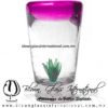 Tequilero Cónico con Agave y borde Pintado Rosa Mexicano Fucsia Fiusha. Fábrica de Vidrio Soplado Artesanal, made in México - Blown Glass Factory Store Tonala, Handcraft, Handmade.